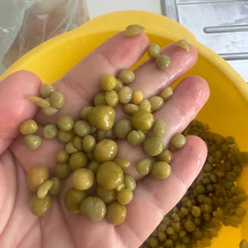 Migros Konserve Bezelyede Farklı Boyut Ve Kabuk Sorunu