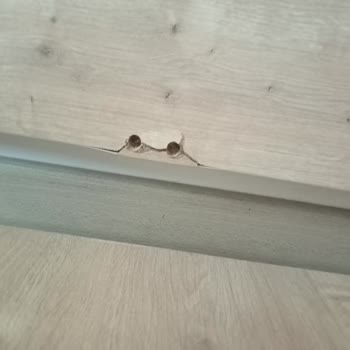 Çocuk Odası Takımı Kırıldı, Servis Gecikmesi Mağduriyet Yarattı