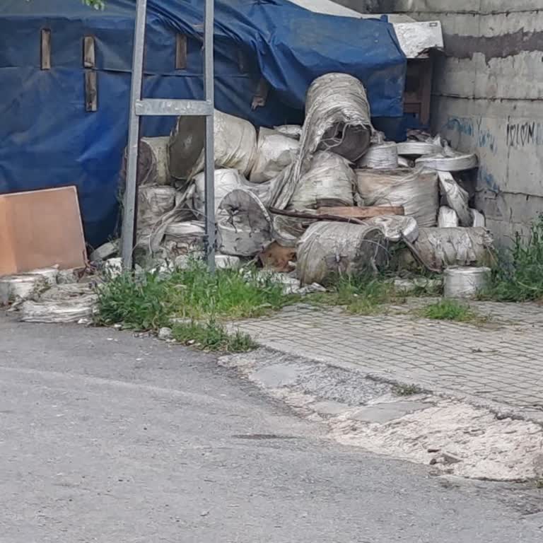 Sokakta Bırakılan İnşaat Malzemesi Ve Fare Sorunu