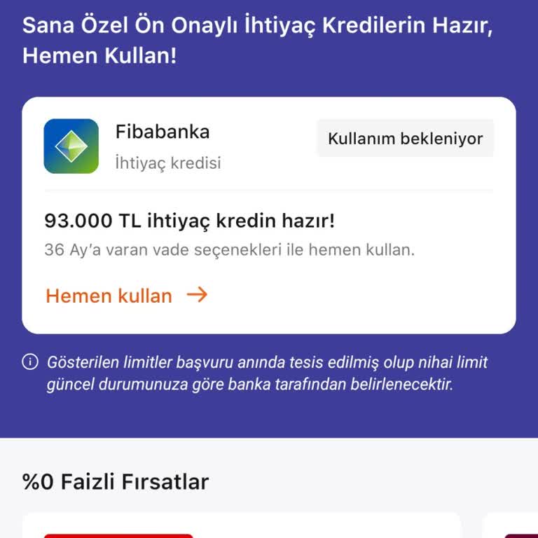 Onaylanan Krediyi Kullanamıyorum Şube Ve Mobil Erişim Yok