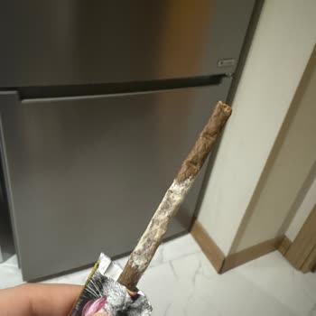 Taze Olması Gereken Kedi Maması Küflü Çıktı, Üretimden Şikayetçiyim