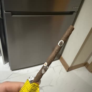 Taze Olması Gereken Kedi Maması Küflü Çıktı, Üretimden Şikayetçiyim