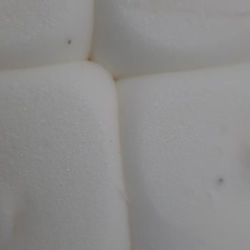 Golf Dondurma Kutusunda Siyah Benekler Ve Tozlar Şaşkınlık Yarattı