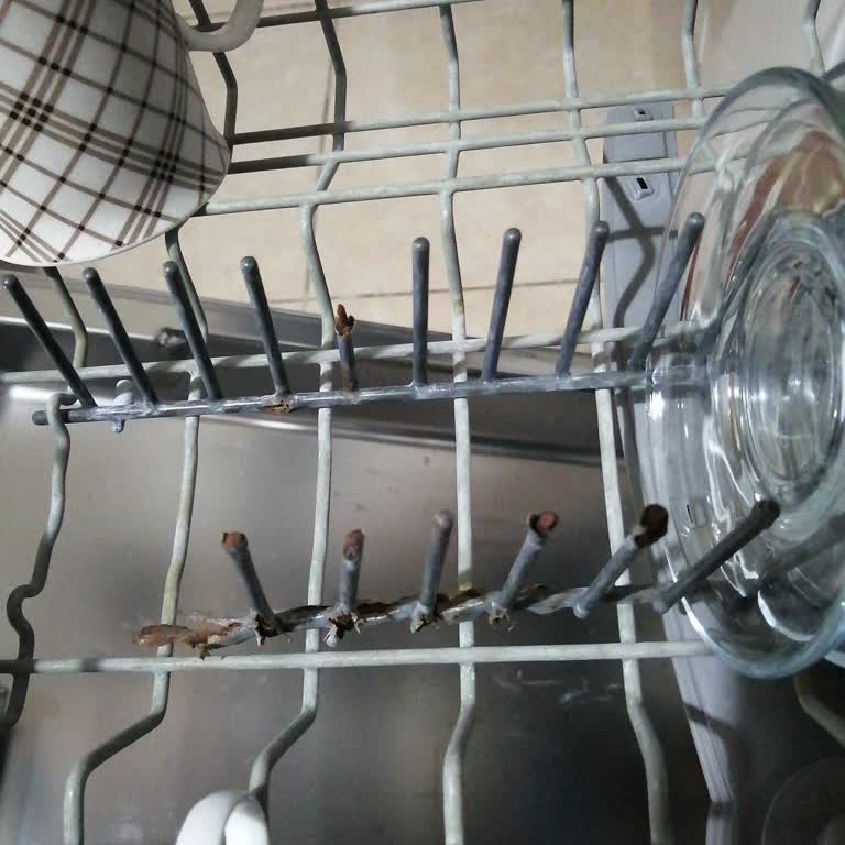 Bosch Bulaşık Makinesi Sepetinde Paslanma Ve Yüksek Yedek Parça Ücreti