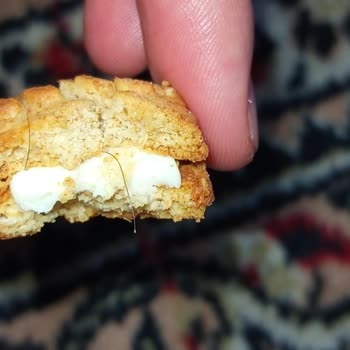 Bisküvinin İçinden Kıl Çıkmasıyla Yaşadığım Hijyen Şoku