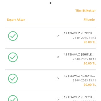 HGS Köprü Geçişlerim Sistemde Görünmüyor, Haksız Ceza Riskiyle Karşı Karşıyayım