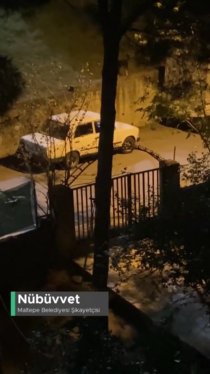 Esenkent, Maltepe'de Başıboş Köpeklerin Ulumasından Bıktık! videonun kapak resmi