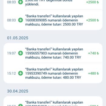 Promo Puanların Hesabıma Eklenmemesi Hakkında