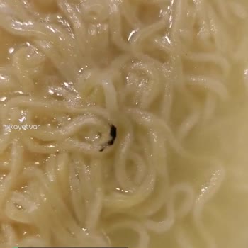İndomie Noodle İçinden Çıkan Şey De Ne?