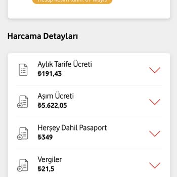 Her Şey Dahil Pasaport Paketinin Devreye Girmemesi Ve Yüksek Ücretlendirme Sorunu