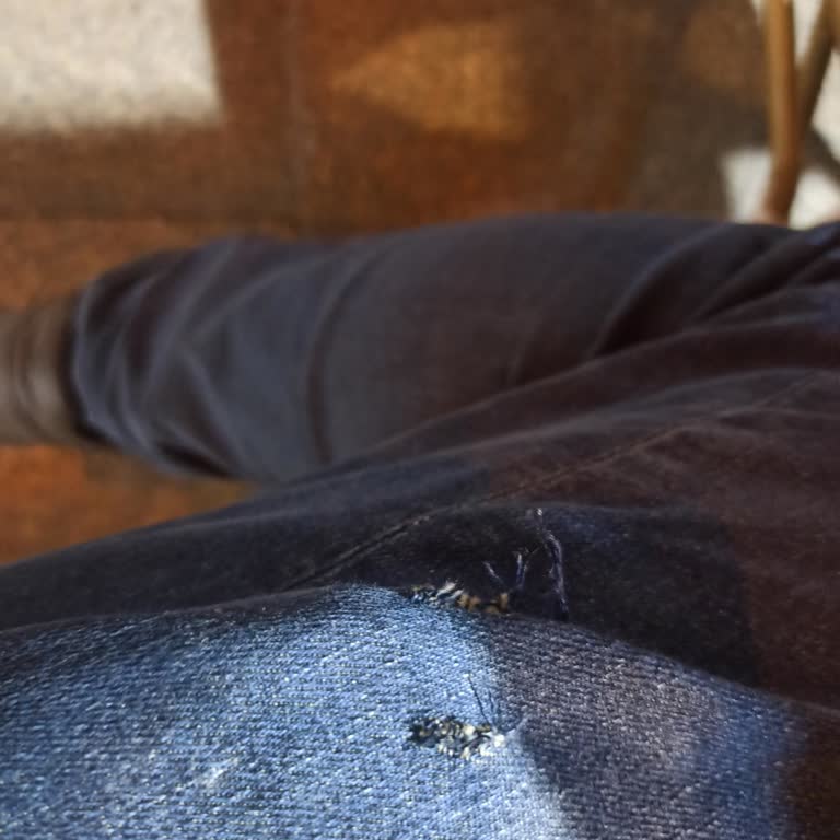 Beyoğlu Şişhane'de Saldırgan Köpekler Ve Güvenlik Sorunu