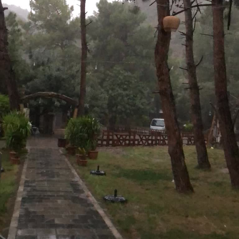 Green Pine Beach Ölüdeniz'de Personel Ve Yönetimden Memnun Kalmadım