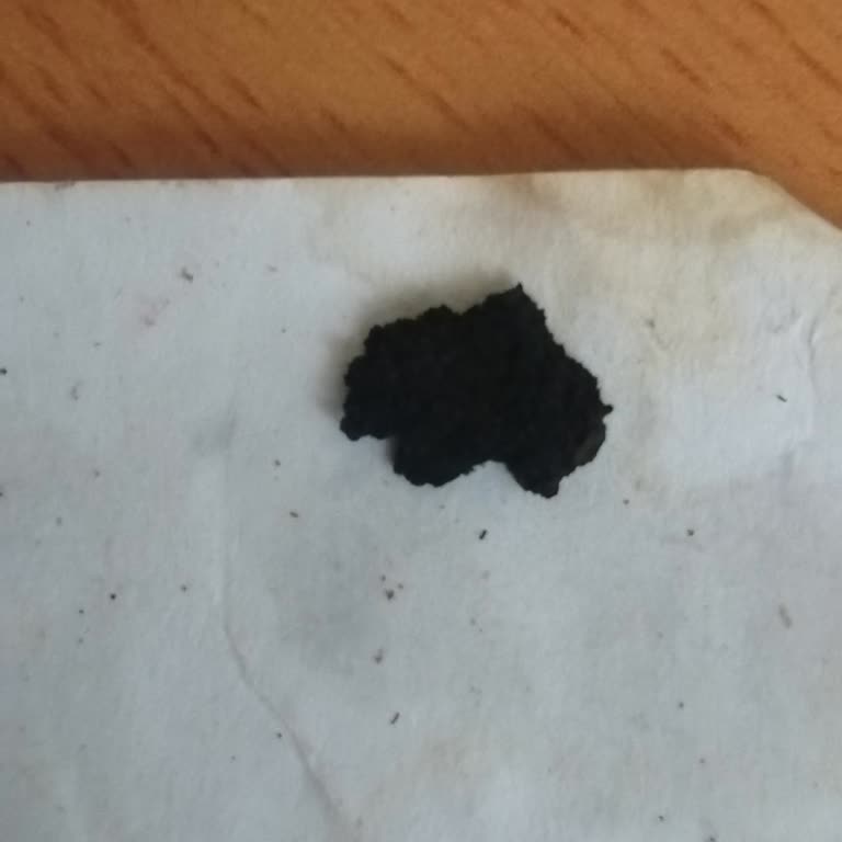 Camel Yellow Tütünde Yabancı Madde Ve Sağlık Sorunu