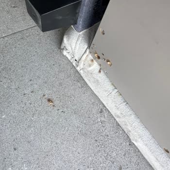 Ewa Home Farklı Ürün Gönderdi