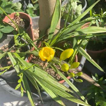 Beklediğim Ürün Yerine Yanlış Ve Eksik Ürün Gönderildi, Güven Sarsıldı
