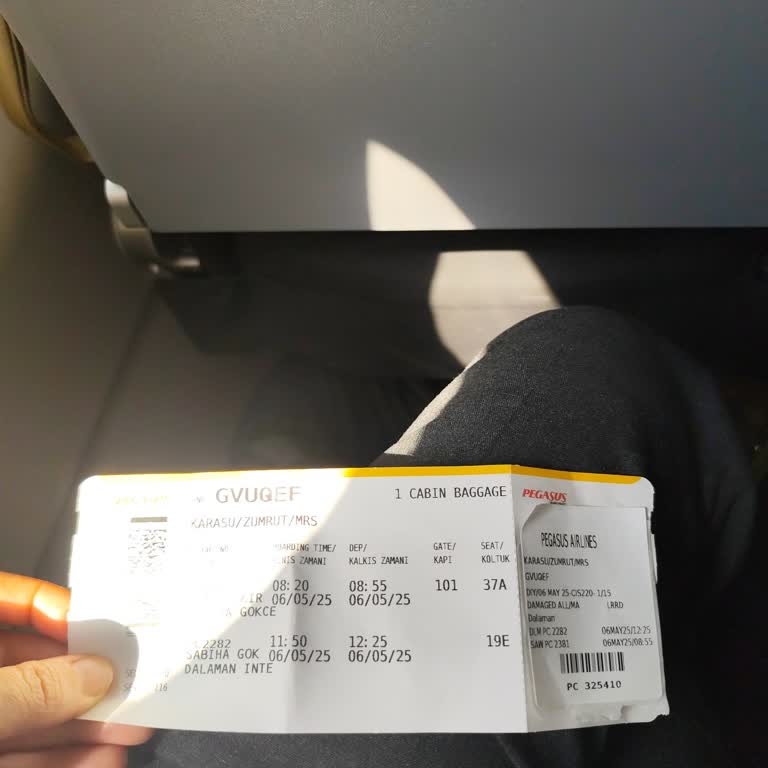 Pegasus Aktarmalı Uçuşta Gecikme Ve Organizasyon Sorunu