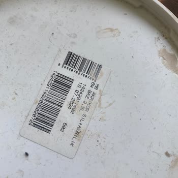 Aldığım Boya Duvara Tutunmadı, Servisten Geri Dönüş Alamadım