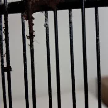 Servis Sonrası Yapılan İşlem Sonucu Tekrar Arıza Ve Ücret Talebi