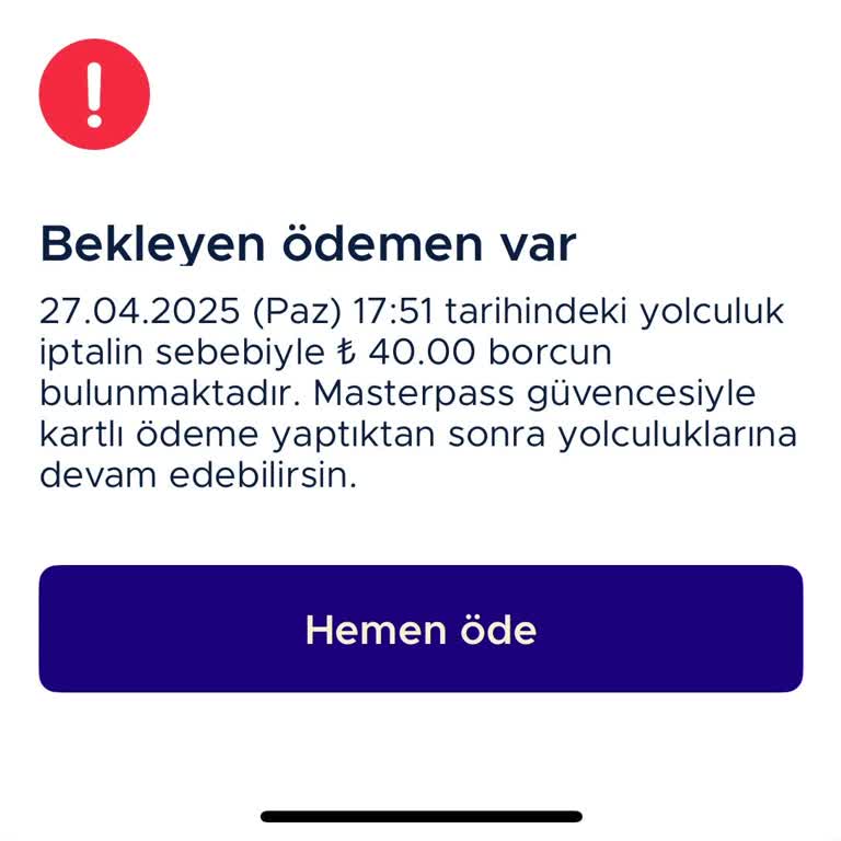 BiTaksi Taksi Çağırdım, Ceza Yedim