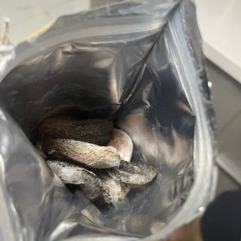 Tadım Kuru Kayısıda Bozulma Ve Müşteri Hizmetlerinde İlgisizlik