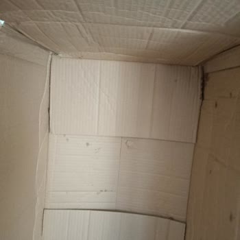 Sürekli Hasarlı Ve Yırtık Mama Paketleri: Sağlık Riski Ve Müşteri Mağduriyeti