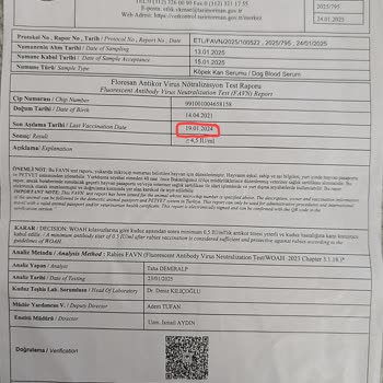 SunExpress Personelinin Bilgisizliği Nedeniyle Uçuşa Kabul Edilmedim