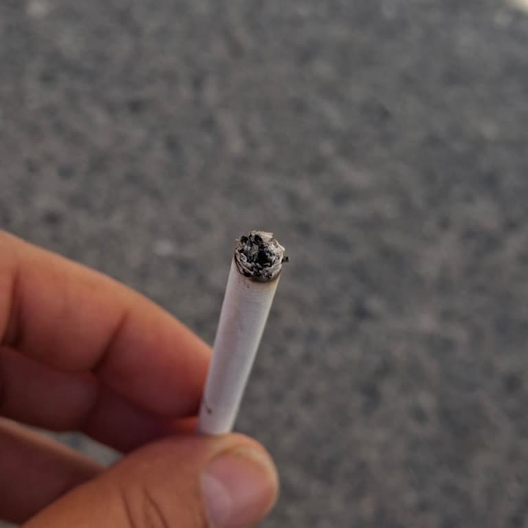 Fiyat Artıyor, Kalite Düşüyor: Tütün Kalitesizliği