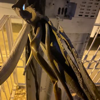 Montaj Sırasında Eski Klimama Zarar Verildi, Çözüm Bekliyorum