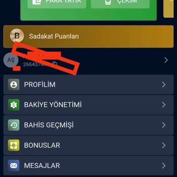 Bonus Vaadiyle Yatırım Yaptırıp Ödeme Yapmayan Site Hakkında Şikayetim