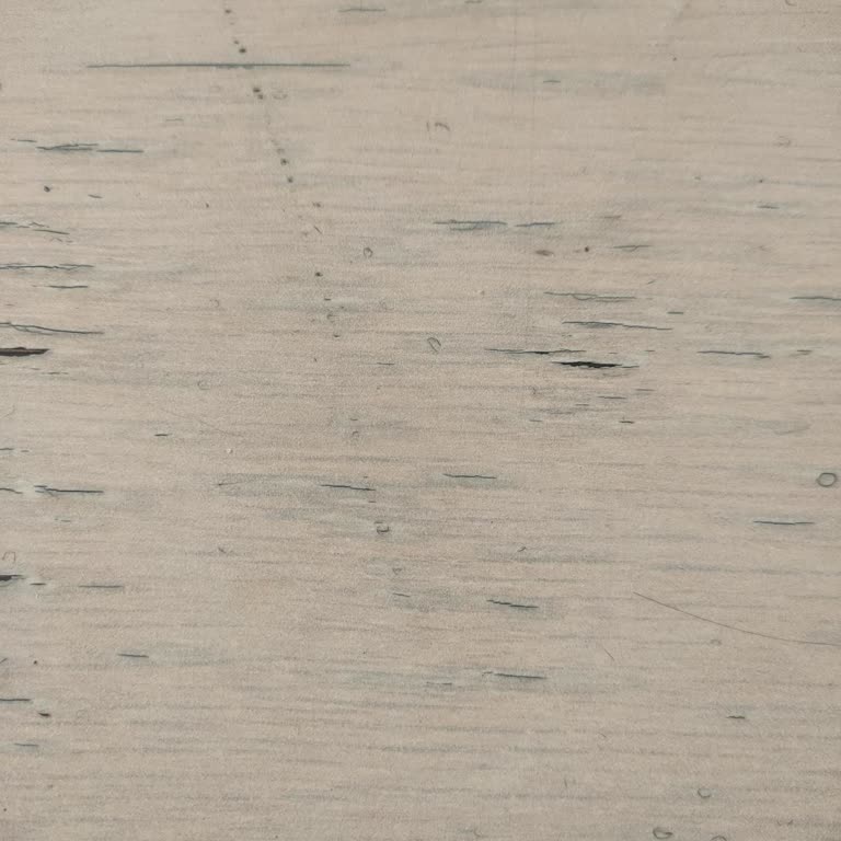 Yanlış İşlem Ve İlgisiz Davranışlar Nedeniyle Memnuniyetsizlik