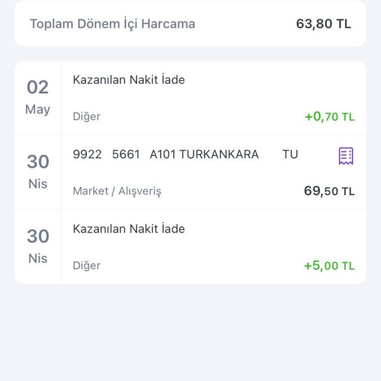 A101'de Hadi Uygulaması Satışı Sırasında Yanlış Bilgilendirme Ve Kredi Kartı Mağduriyeti