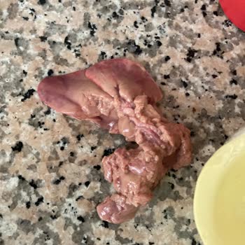 Aldığım Tavuk Ciğeri Bozuk Çıktı, Çöpe Atmak Zorunda Kaldım