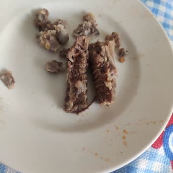 Banvit Kalçalı Butta Saklanan Kemikli Parça Ve Gramaj Oyunu