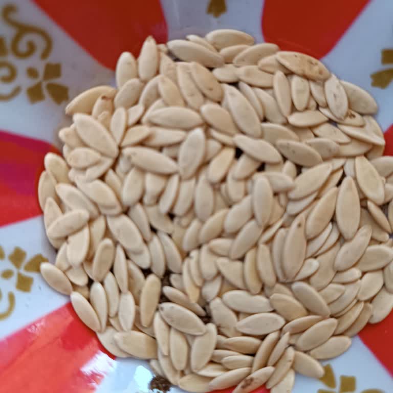 İntfa Tarım Satın Aldığım Salatalık Tohumlarında Kalite Ve Müşteri Hizmetleri Sorunu