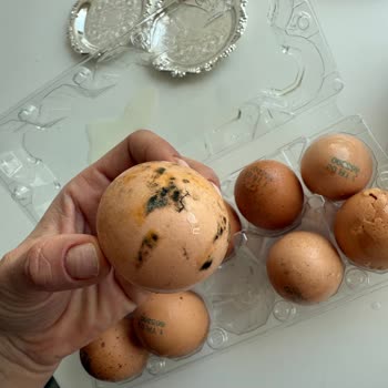 Küflü Yumurta Teslimatı Ve Müşteri Hizmetlerine Ulaşamama Sorunu