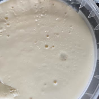Şok Marketten Aldığım Kaymak Küflü Çıktı Tarihi Geçmiş Ürün Satılıyor