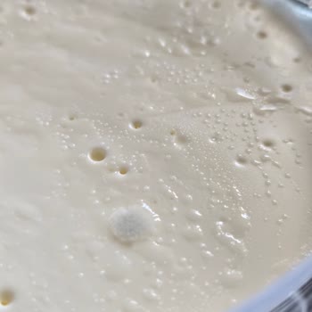 Şok Marketten Aldığım Kaymak Küflü Çıktı Tarihi Geçmiş Ürün Satılıyor