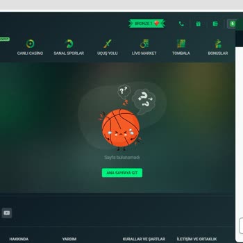 Kazanç Ödemesi Yapılmayan Sitede Müşteri Desteği Yetersiz