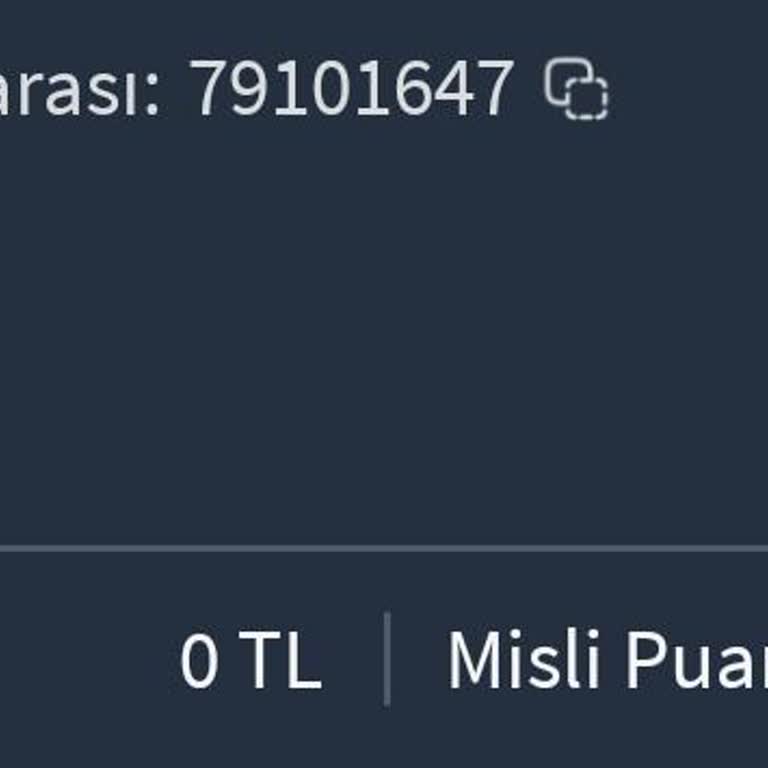 Yanlış Açıklama İle Yüklenen Para Hesabıma Ulaşmadı