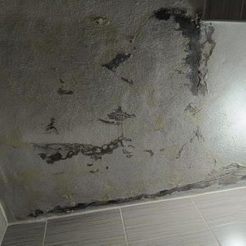 Tesisatçı Mahmut Usta Tesisat Sorununu Çözmeden Yüksek Ücret Aldılar, Mağdur Edildim