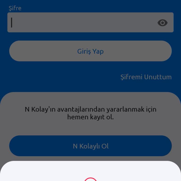 BHS Hatası Yüzünden Haftalardır Mobil Giriş Yapamıyorum
