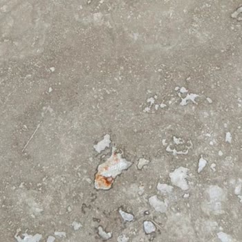 Chappal Aldığım Ürün Defolu Çıktı