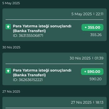 Yatırım Yaptığım Siteden Hiçbir Şekilde Ödeme Alamıyorum