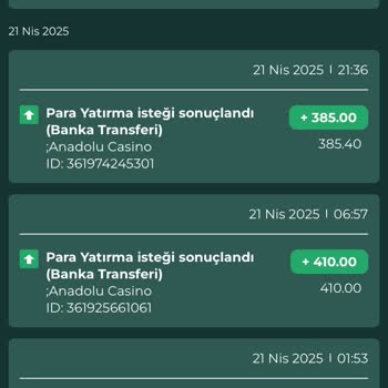 Yatırım Yaptığım Siteden Hiçbir Şekilde Ödeme Alamıyorum