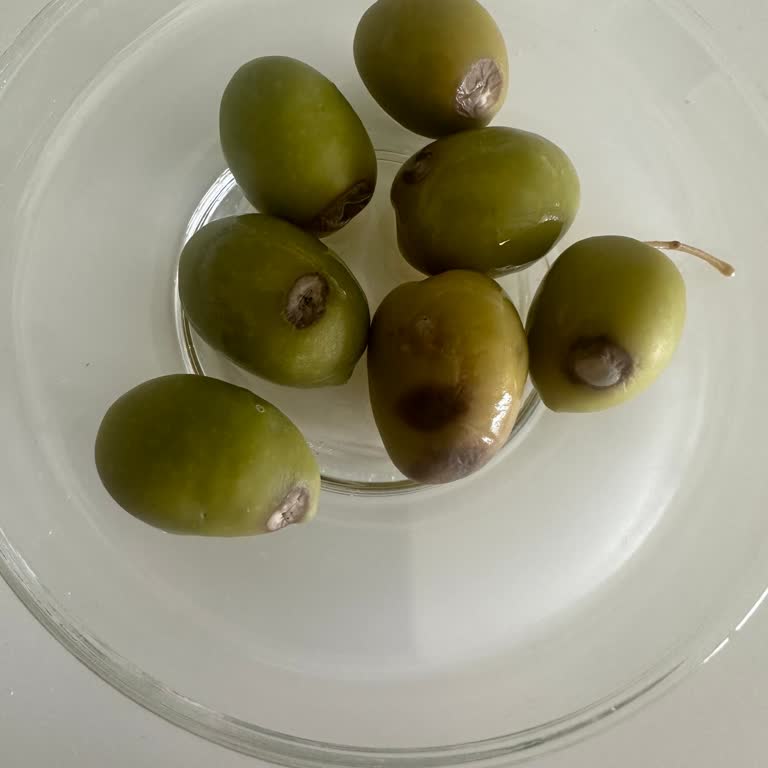 Aldığım Zeytin Bozuk Çıktı, Satıcıdan Dönüş Alamadım