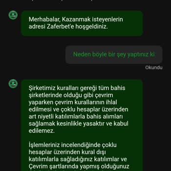 Yatırım Sonrası Bakiyem Silindi Siteye Erişimim Engellendi