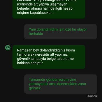 Yatırım Sonrası Bakiyem Silindi Siteye Erişimim Engellendi