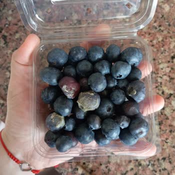 Migros’tan Aldığım Ürünlerin İçeriği Ve Tazeliği Güven Vermiyor