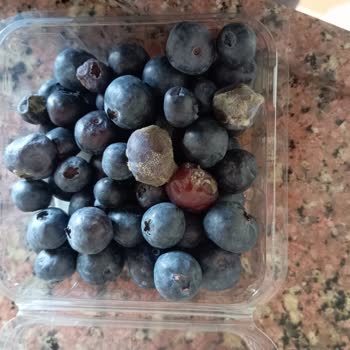 Migros’tan Aldığım Ürünlerin İçeriği Ve Tazeliği Güven Vermiyor