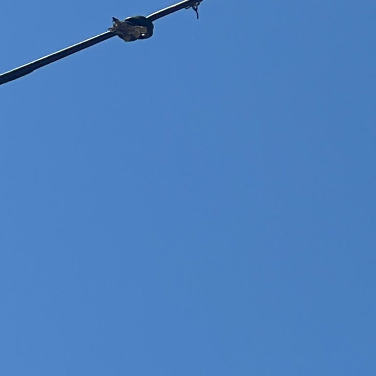 15 Gündür Süren İnternet Kesintisi Ve Çözülmeyen Teknik Servis Sorunu